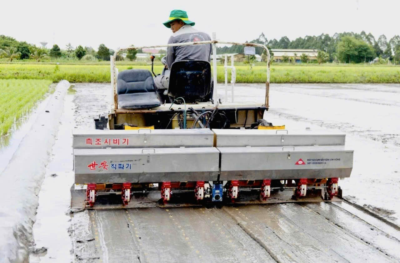 Một số lưu ý trong chăm sóc lúa vụ Hè Thu 2026