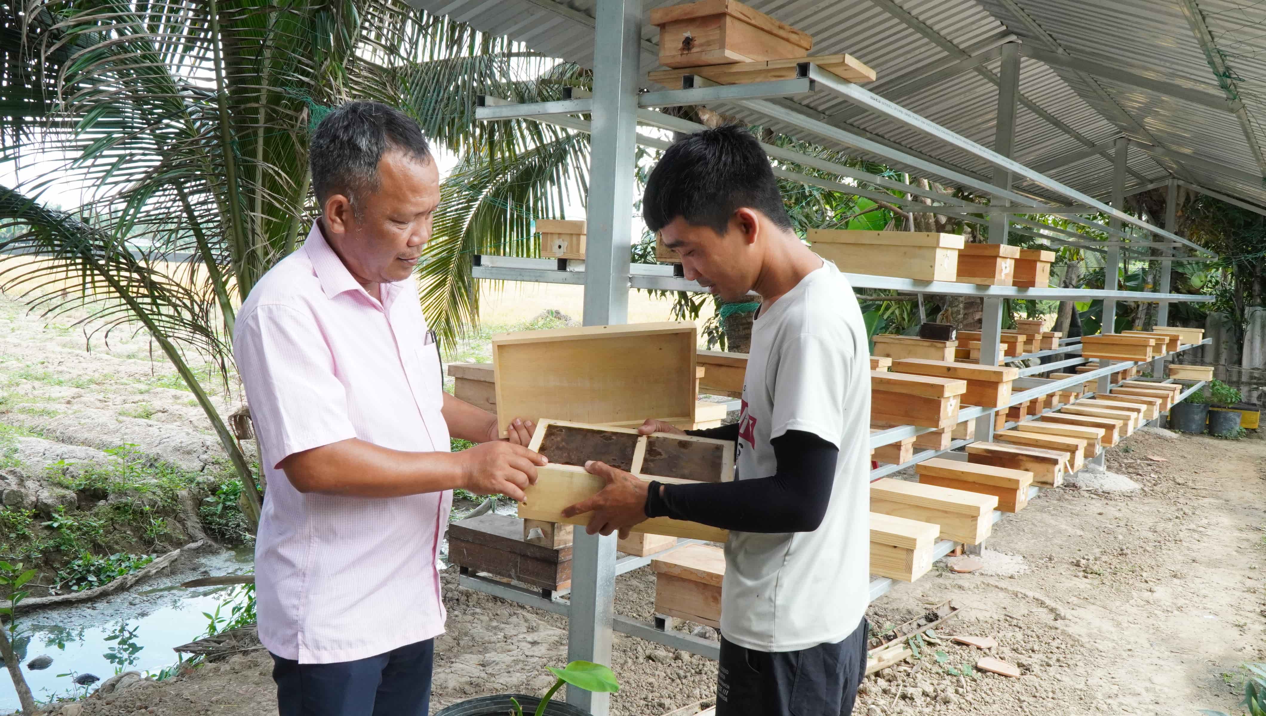 Phát triển kinh tế từ mô hình nuôi Ong dú